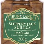 18a677e72ea124873bac815c06e5cad9