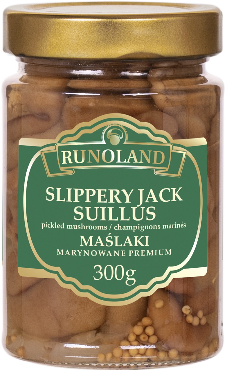 18a677e72ea124873bac815c06e5cad9