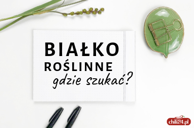 Białko roślinne – gdzie szukać?