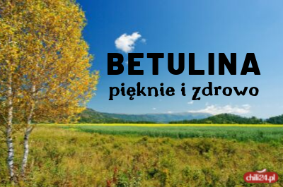 Betulina – pięknie i zdrowo