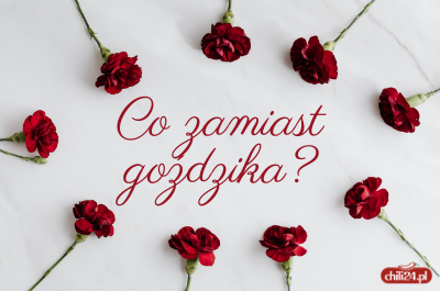 Co zamiast goździka na Dzień Kobiet?