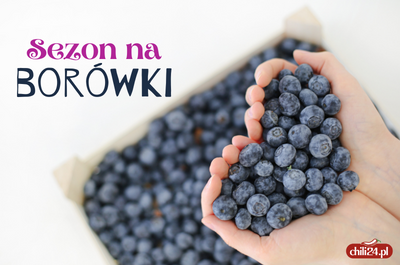 Borówka amerykańska – perła wśród owoców