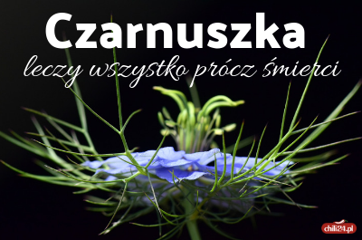 Czarnuszka „leczy wszystko prócz śmierci”